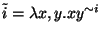 $\tilde{i}=\lambda x,y.xy^{\sim i}$